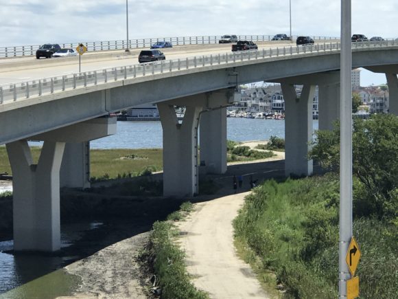 Dirt trails for hiking under the Ocean City Bridge.