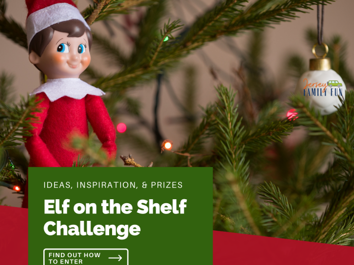 Elf on the shelf challenge image of elf in tree