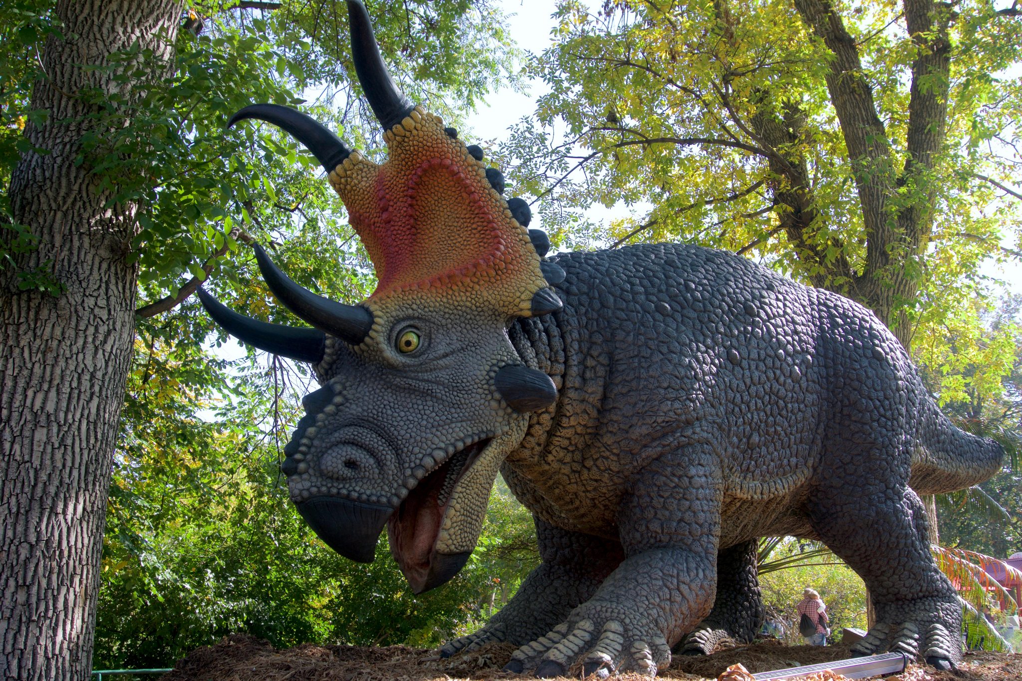 Xpedition-Dino-Dinosaurs-at-six-flags-great-adventure-Diabloceratops