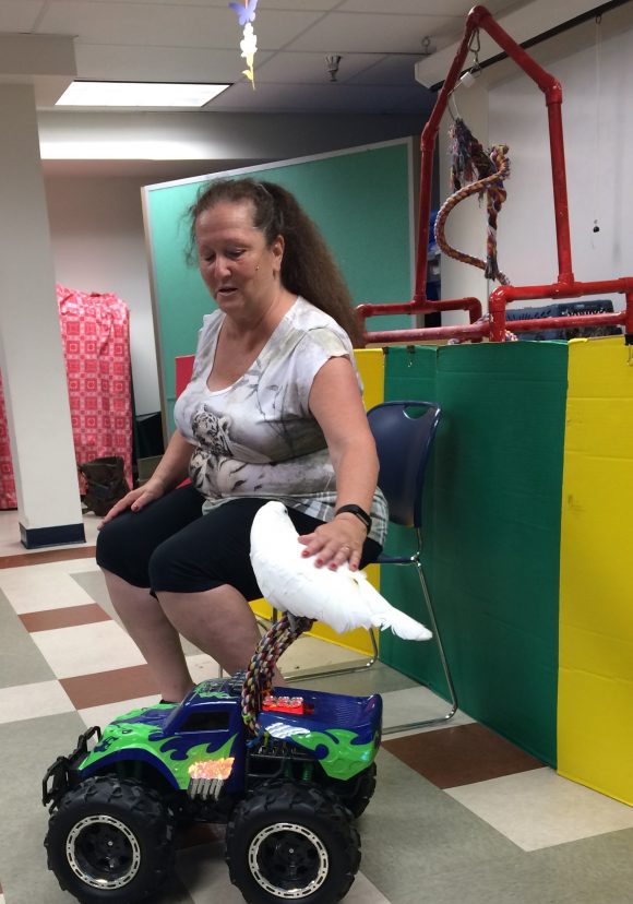 a cockatoo riding a monster truck at a Bordentown NJ library summer reading program event