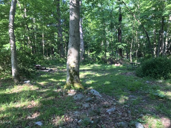 Tent site 4 at Lake Ocquittunk Camping area at Stokes State Forest 