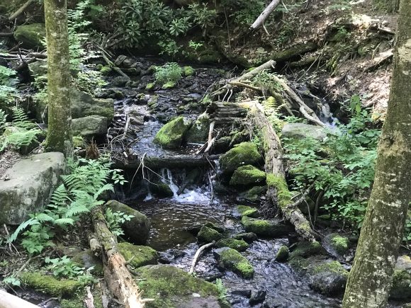 a brook leads into waterfalls at tillman ravine at Stokes State forest