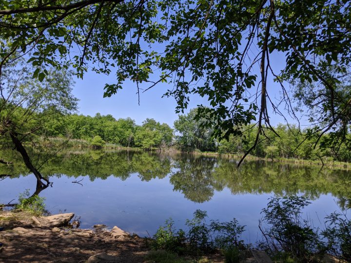 view of Rancocas Creek from Amico Island hiking trails in Riverside, NJ