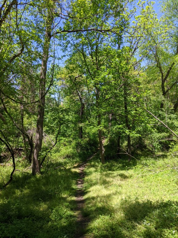 hiking trails at Little Woods on the Rancocas in NJ