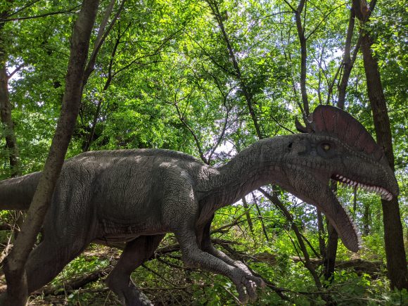 Dilophosaurus at Field Station Dinosaurs
