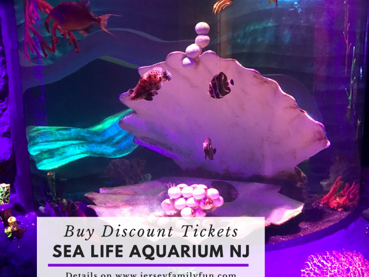 Discount Admission Tickets Sea Life Aquarium New Jersey (Instagram Post)