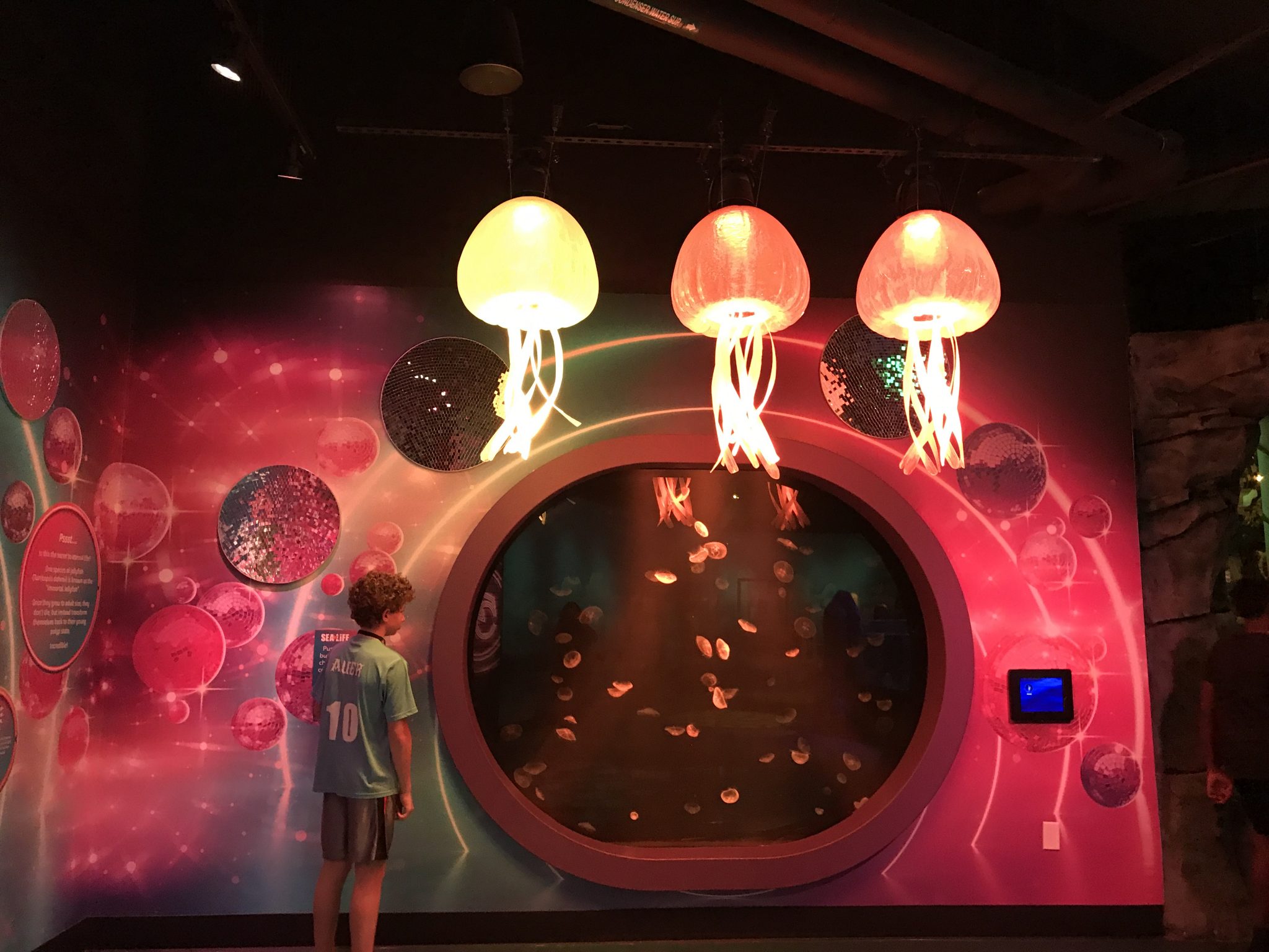 jellyfish-disco-at-Sea-Life-Aquarium