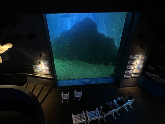 Shark Realm Theater at Adventure Aquarium