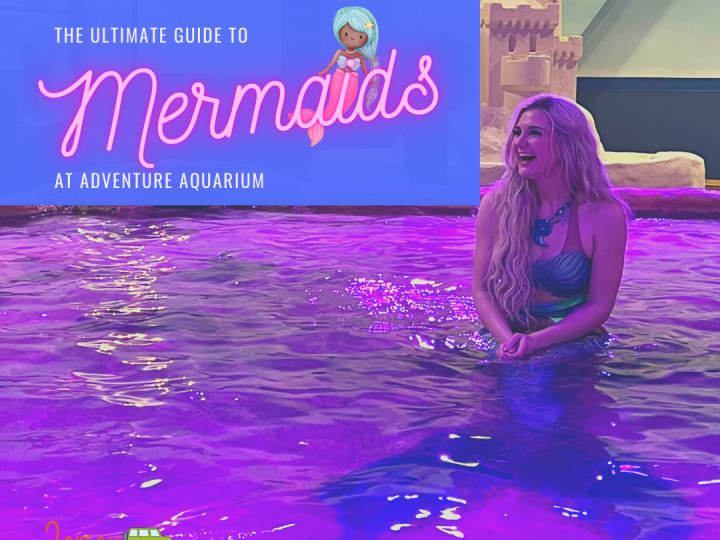 The Ultimate Guide to Mermaids at Adventure Aquarium