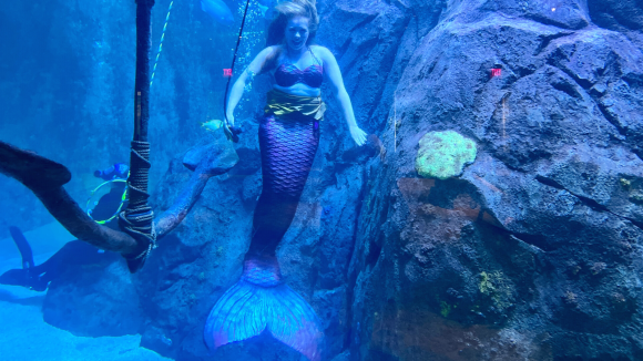 underwater mermaid at Adventure Aquarium