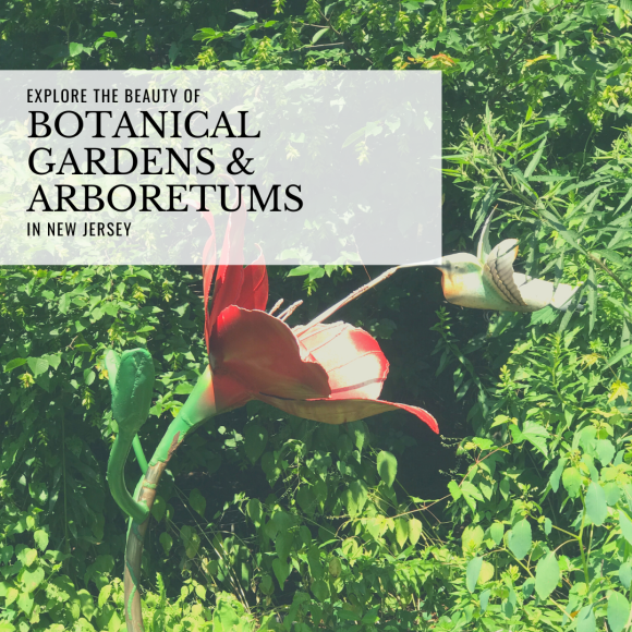 Explore-the-Beauty-of-New-Jersey-Botanical-Gardens-and-Arboretums-