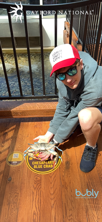 Teen appears to be holding a Chesapeake Blue Crab with the Wildlife Rescue App at Gaylord National Resort.