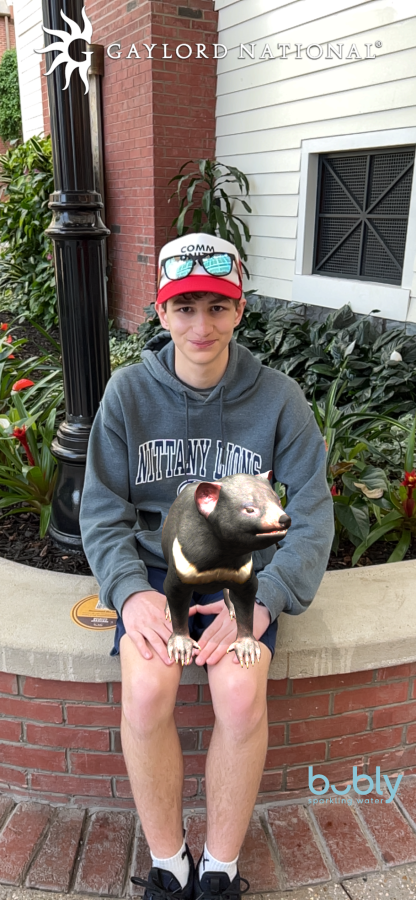 Teens sits with a Tasmanian Devil on his lap with help from the Wildlife Rescue app