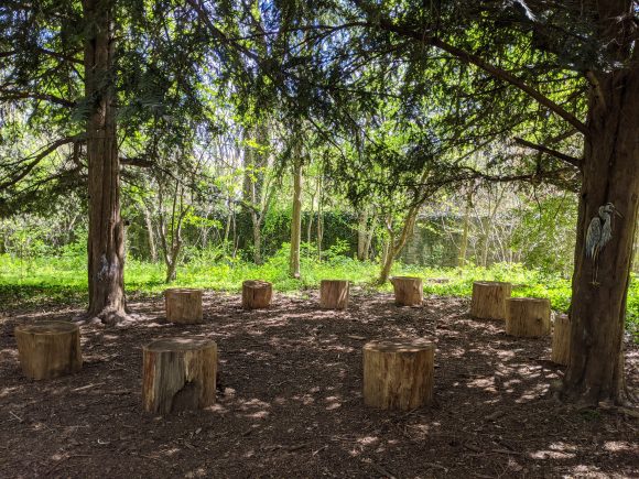 Outdoor seating circle of tree stumps at Awbury Arboretum in Philadelphia