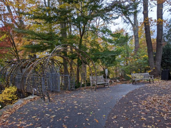 walk through a lighted archway at Morris Arboretum in Philadelphia