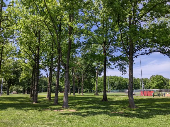 Central Park Playground in Lawrenceville NJ Shade