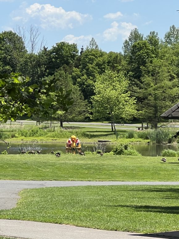 Colonial Park Playground in Somerset NJ paddleboats