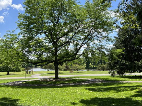 Colonial Park walking paths in Somerset NJ