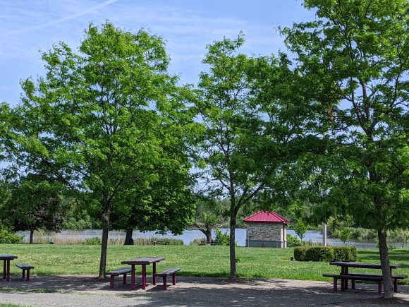 Rosedale Park Playground in Pennington NJ Playground picnic benches nearby.jpg