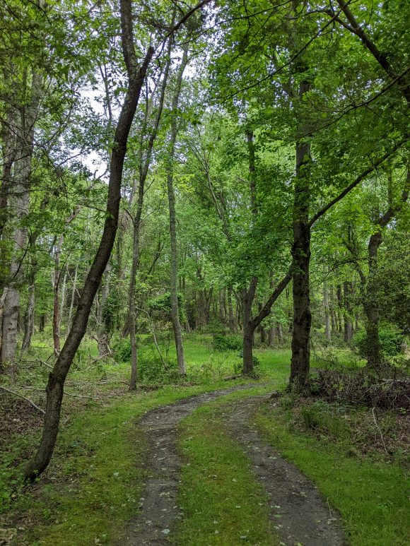 Scotland Run Park in Clayton NJ Trails near Nature Center(1)