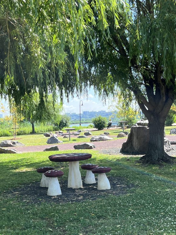 mushroom picnic table under trees overlooking water at Mill Creek Point Park in Secaucus NJ 