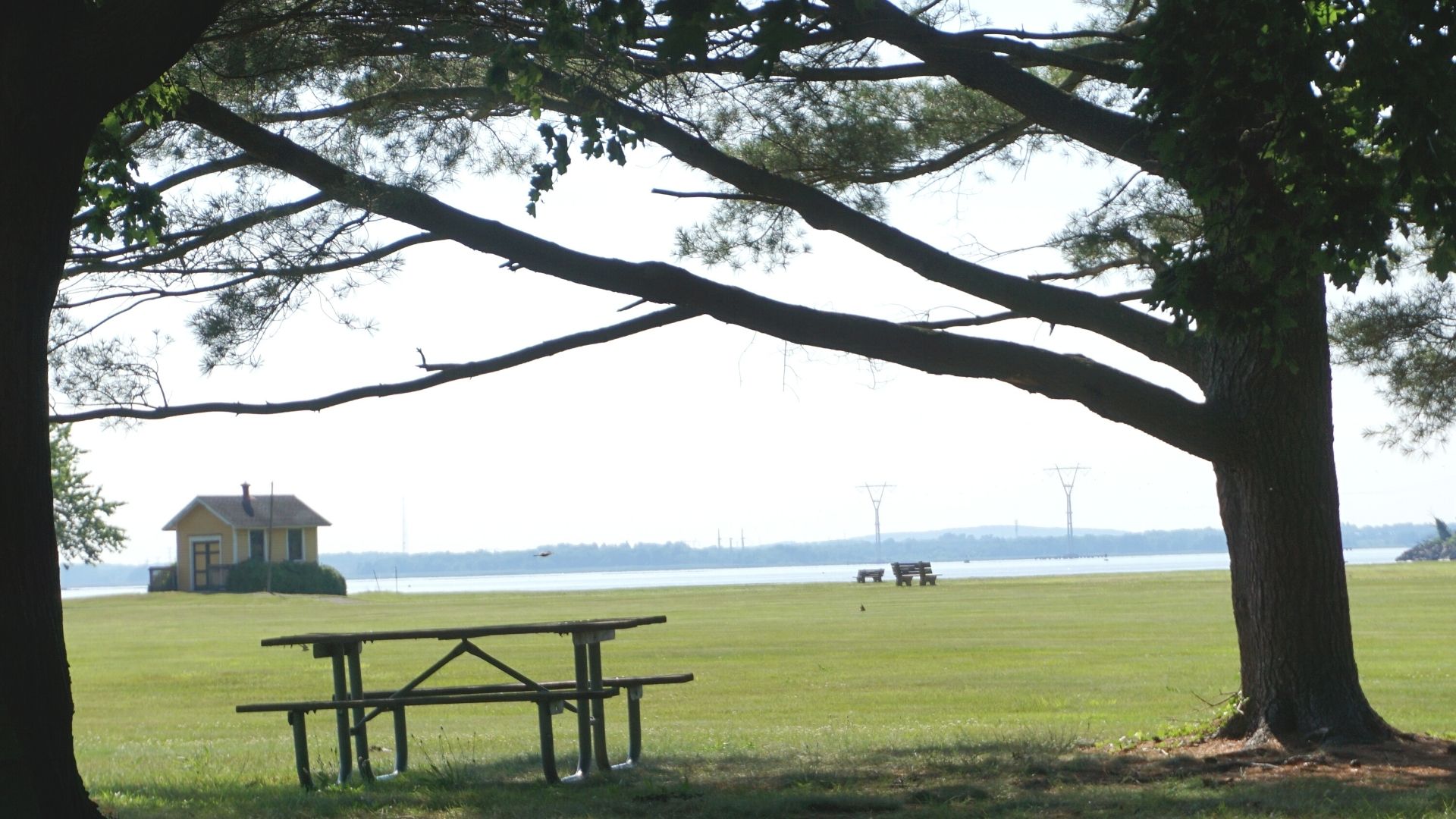 Fort Mott State Park in Pennsville NJ picnic table under trees with open grassy area 1
