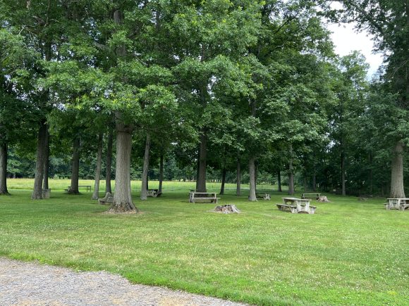 Kingwood Township Park in Frenchtown NJ picnic grove horizontal