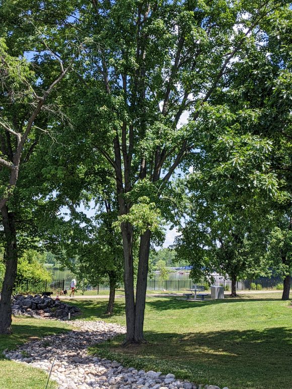 Mercer County Park Playground in West Windsor Township NJ Water and a picnic table