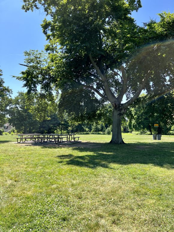 Ponderosa Farm Park in Scotch Plains NJ picnic tables under shady tree