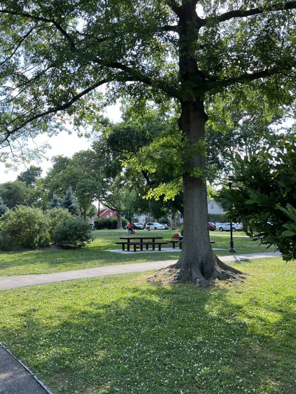 Weasel Brook Park Picnic tables under trees in Clifton NJ 1