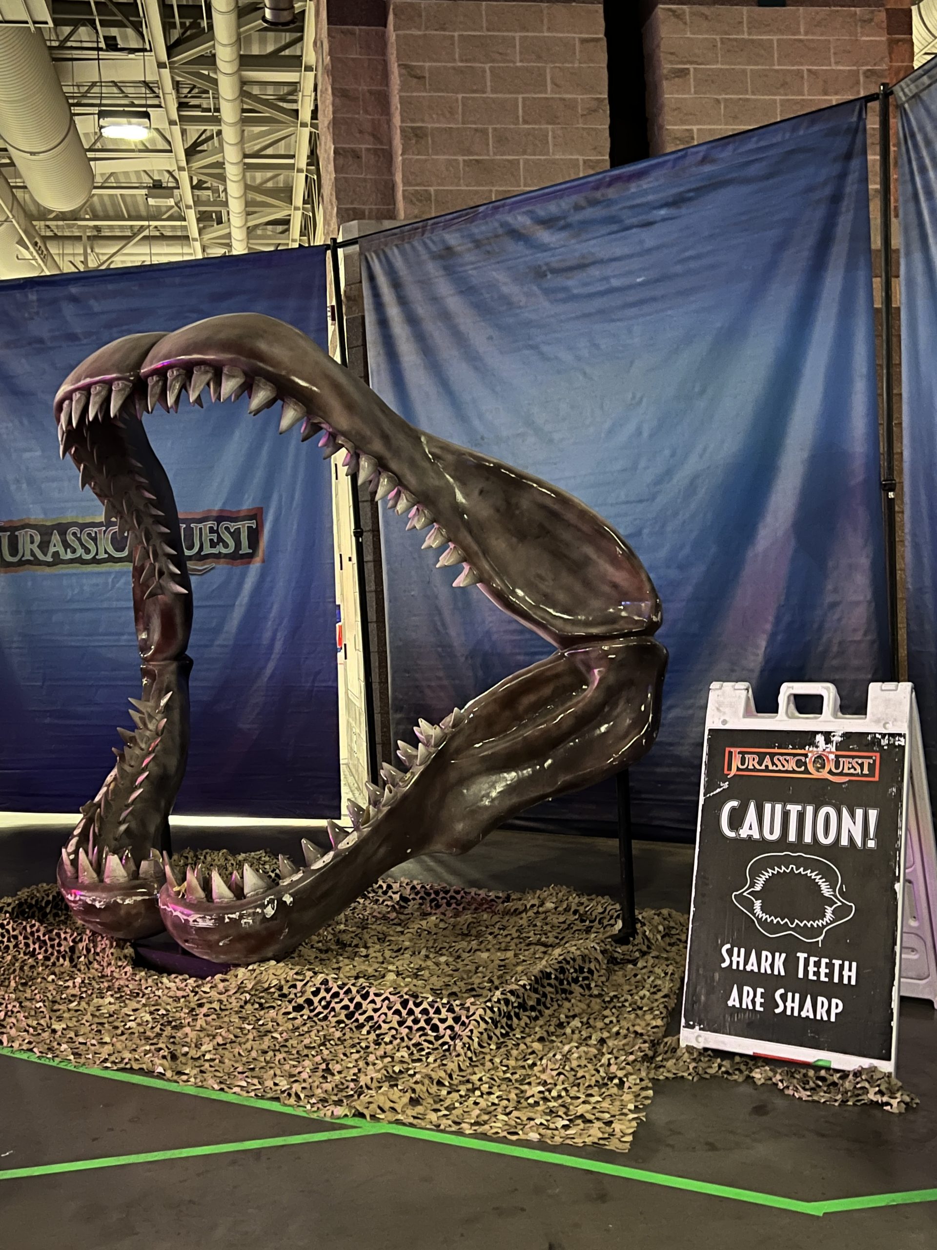 Atlantic City Jurassic Quest Ocean - Shark jaw TALL