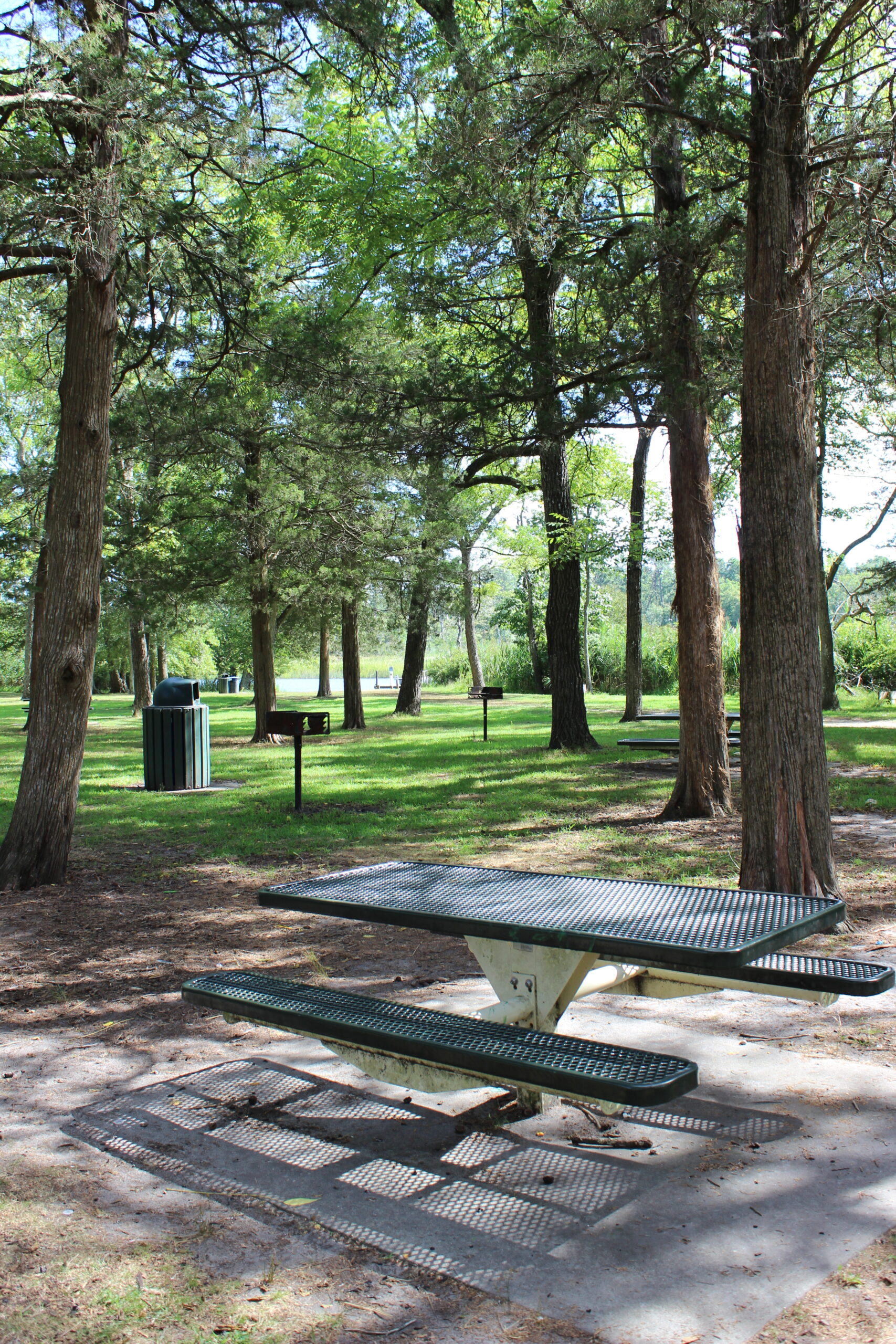 Back Estell Manor Park Playgrounds in Mays Landing NJ - Picnic Table under trees and view of water