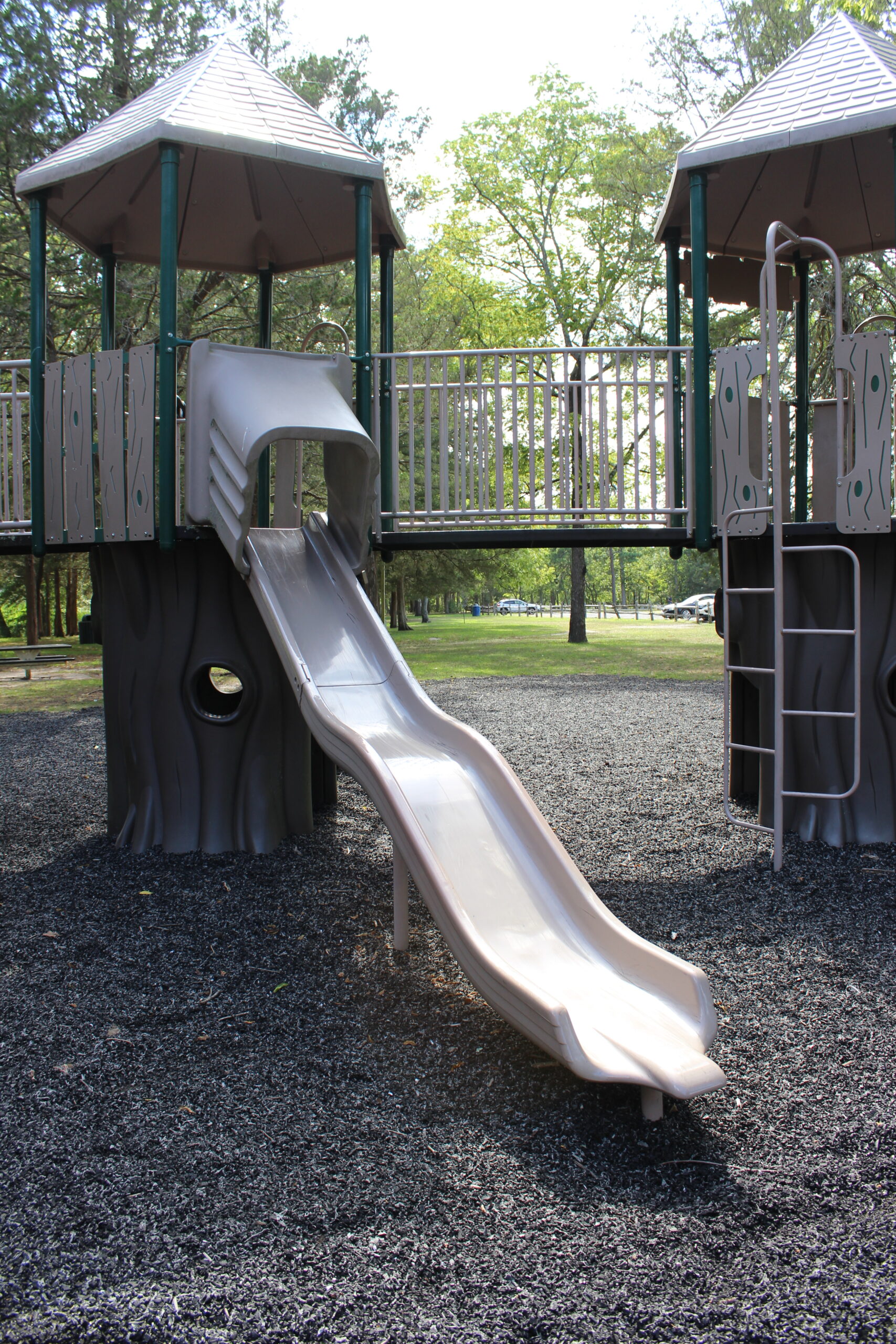 Back Estell Manor Park Playgrounds in Mays Landing NJ - SLIDES - long open wavy slide at treehouse TALL image