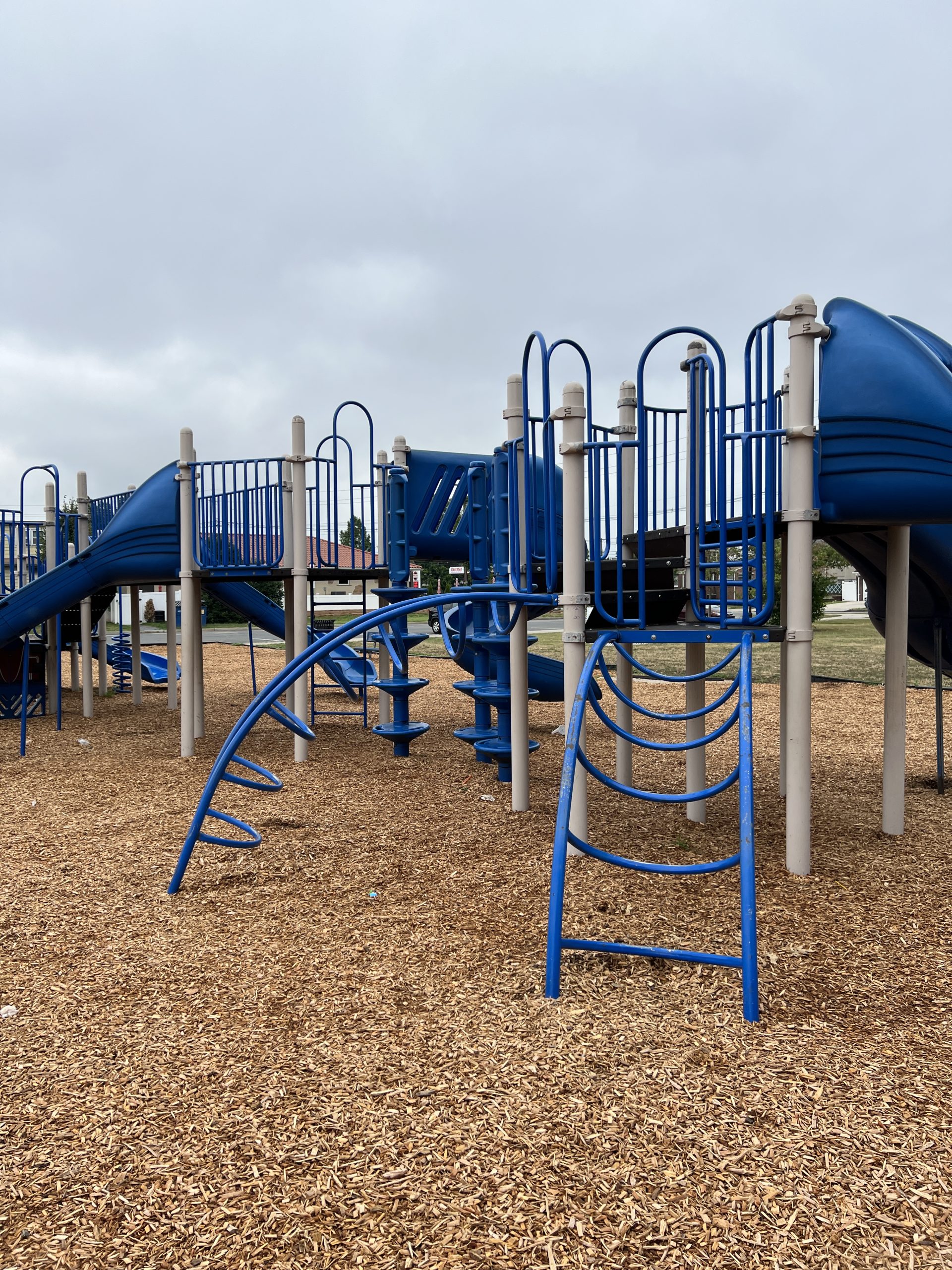 Climbing ladders TALL 1 at Carteret Park Playground in Carteret NJ