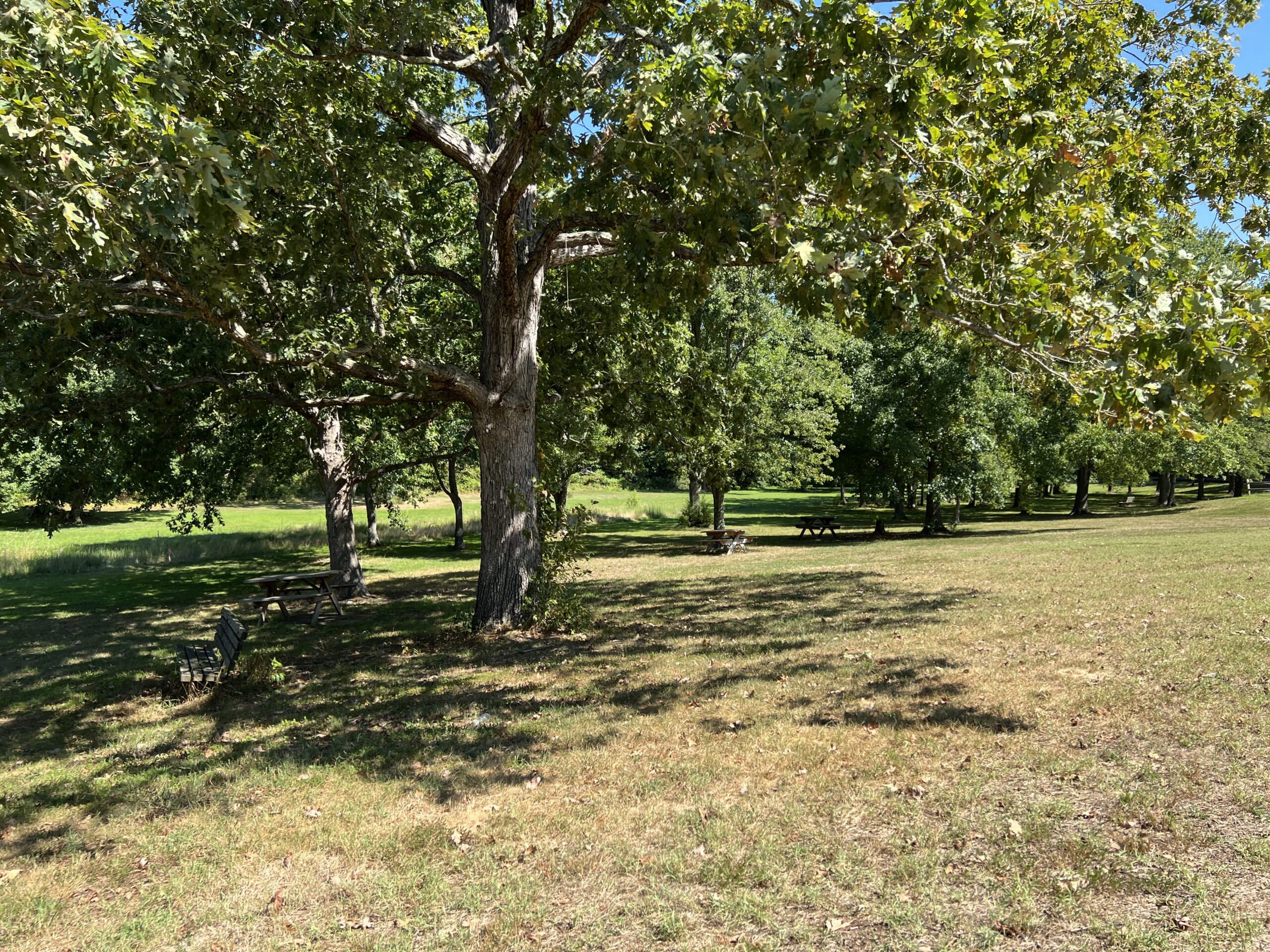Deer Pen Park in Pittsgrove Township NJ - Picnic Grove WIDE image