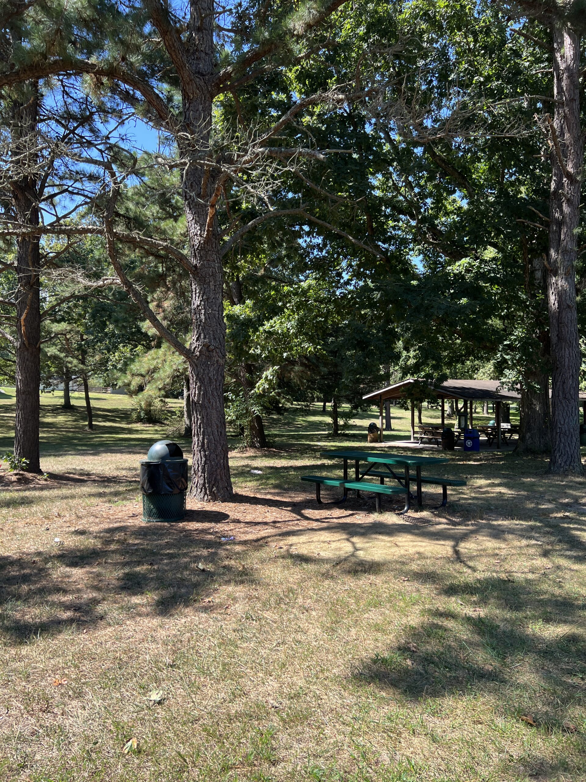Deer Pen Park in Pittsgrove Township NJ - SHADY - picnic table under tree