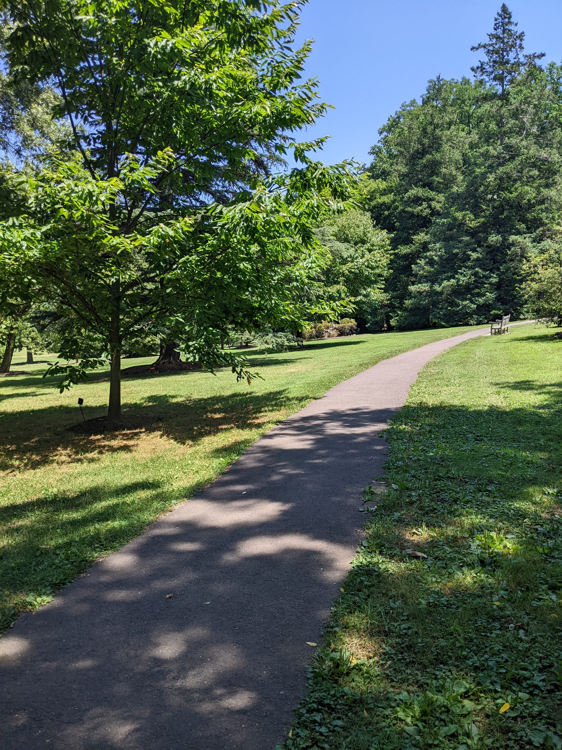 EXTRAS - Walking Path at Marquand Park in Princeton NJ