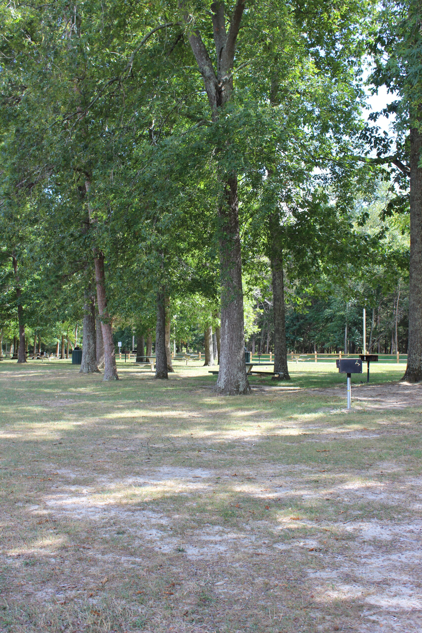 Estell Manor Park in Mays Landing NJ - Extras - picnic grove