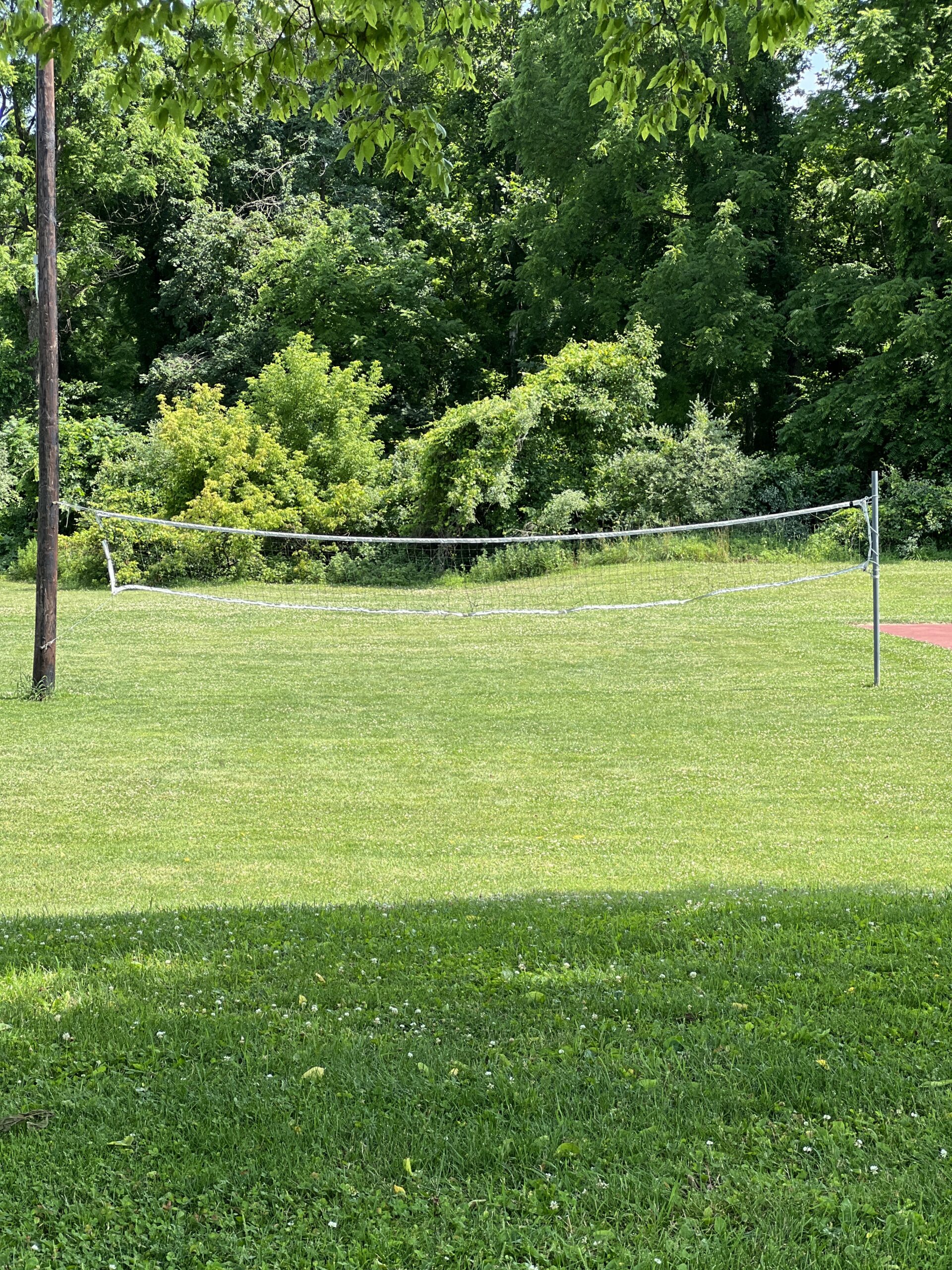 Green Acres Field of Dreams in Independence Township NJ - Extras - Vollleyball net TALL image