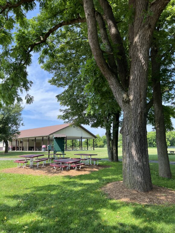 Green Acres Field of Dreams in Independence Township NJ - SHADY - picnic tables under tree pavilion in distance