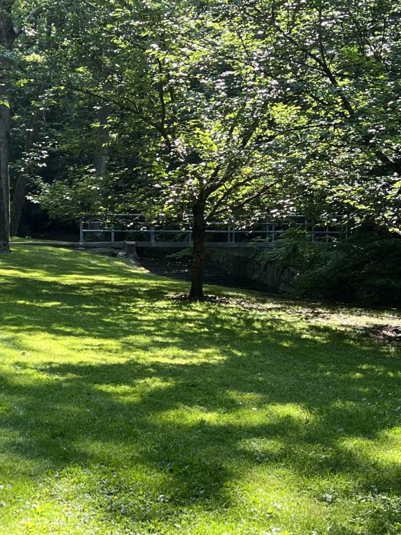 Grover Cleveland Playgrounds in Caldwell NJ - EXTRAS - grassy area with trees and bridges