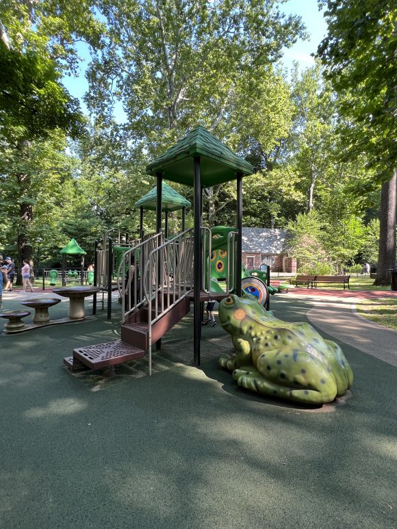 Grover Cleveland Playgrounds in Caldwell NJ - Medium Playground Structure - TALL frog end 2