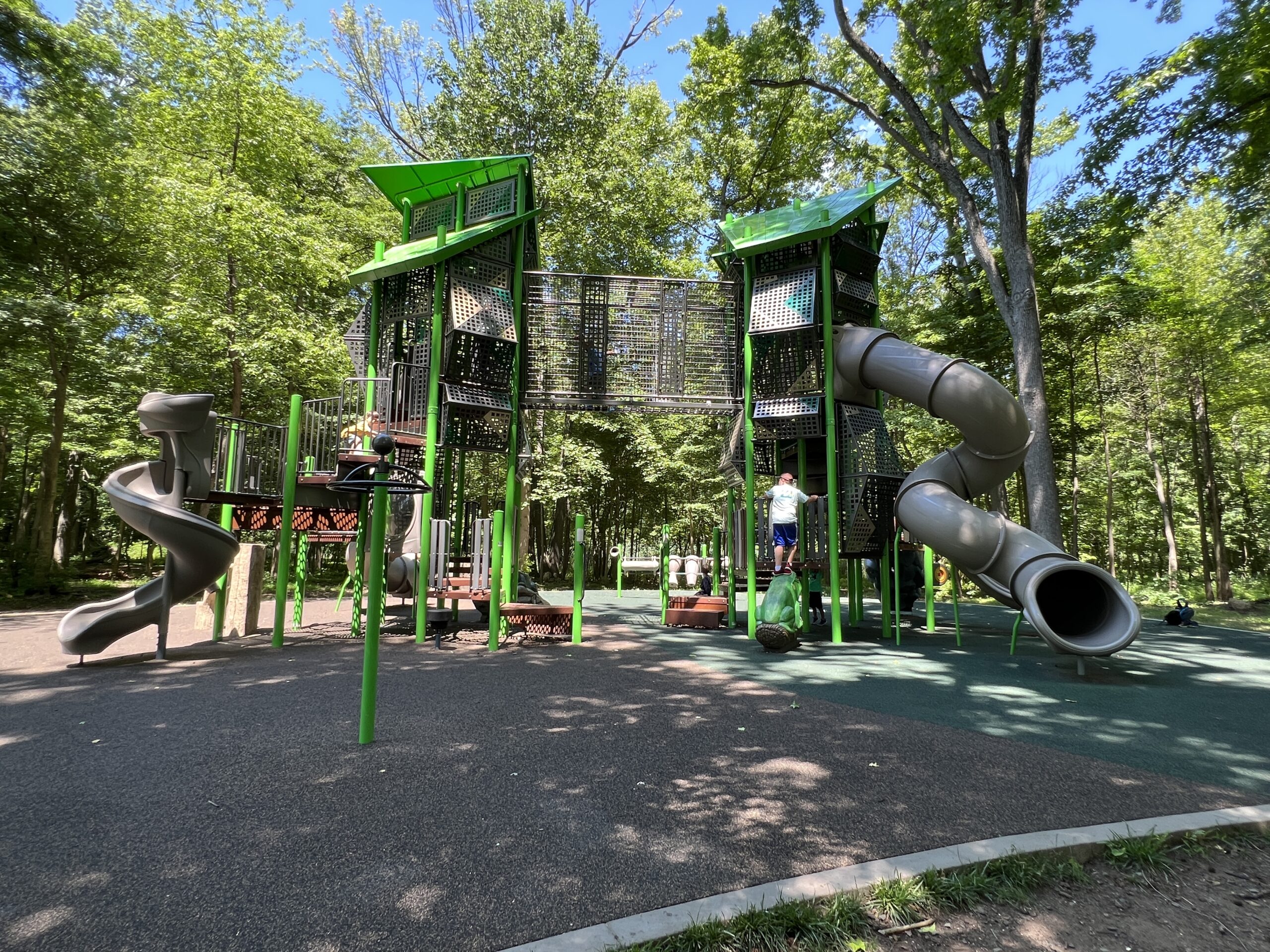 Nomahegan Park Playground in Cranford NJ - WIDE image - larger playground side view side with frog