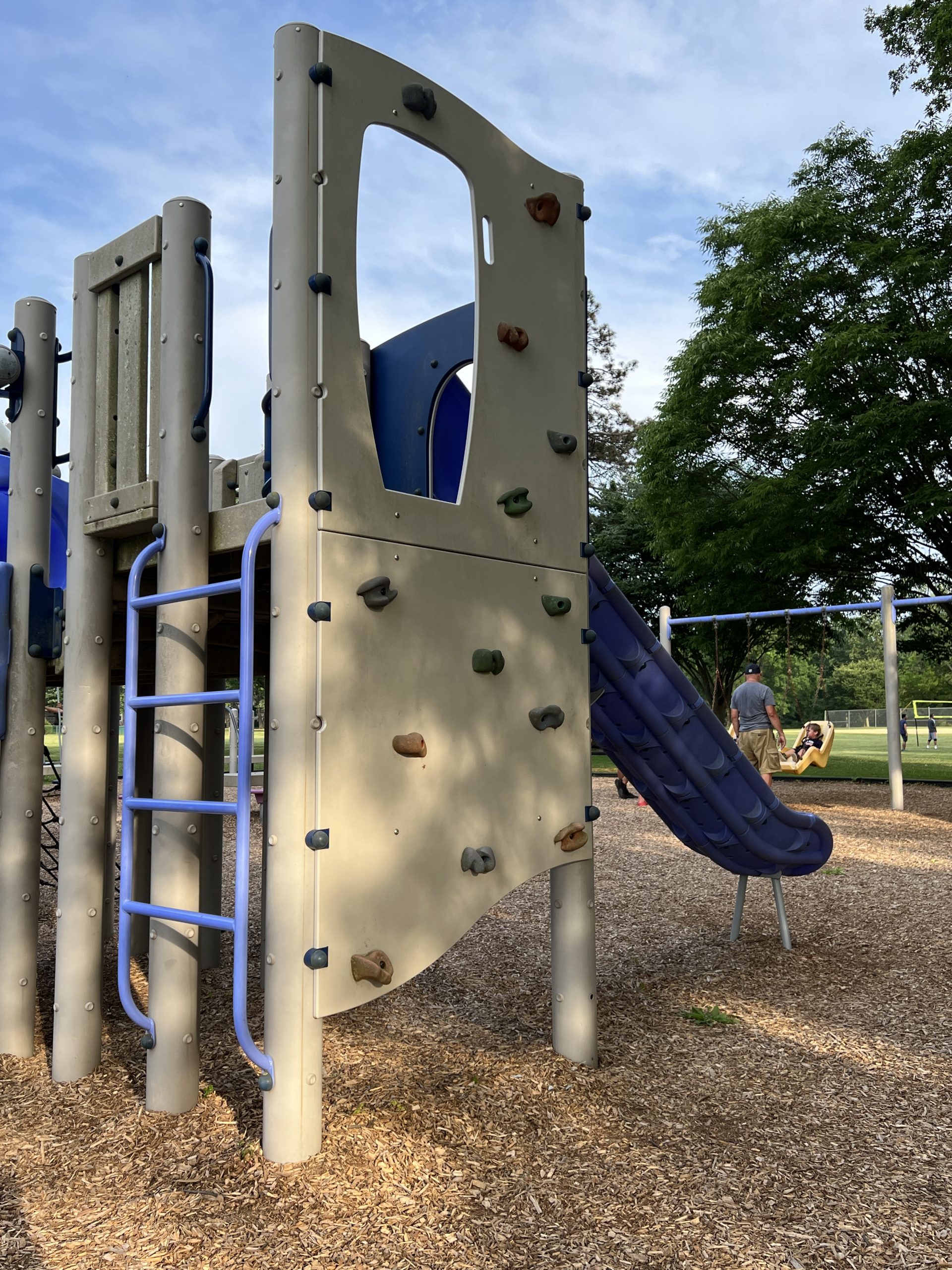 North Branch Park Playground in Bridgewater NJ - Features - Rock climbing wall with ladder