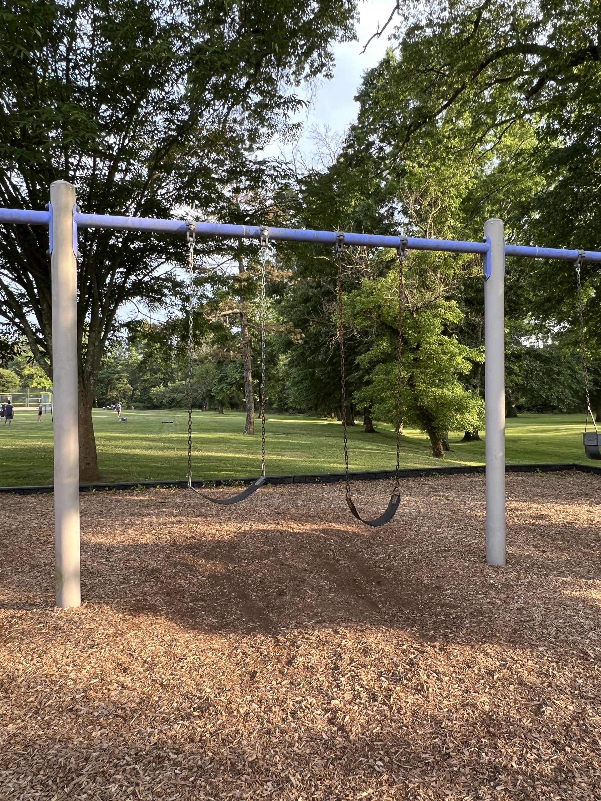 North Branch Park Playground in Bridgewater NJ - SWINGS - traditional swings