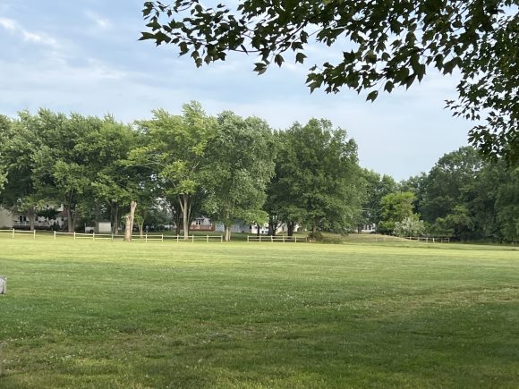 North Branch Park in Bridgewater NJ - Extras - Open grassy area WIDE
