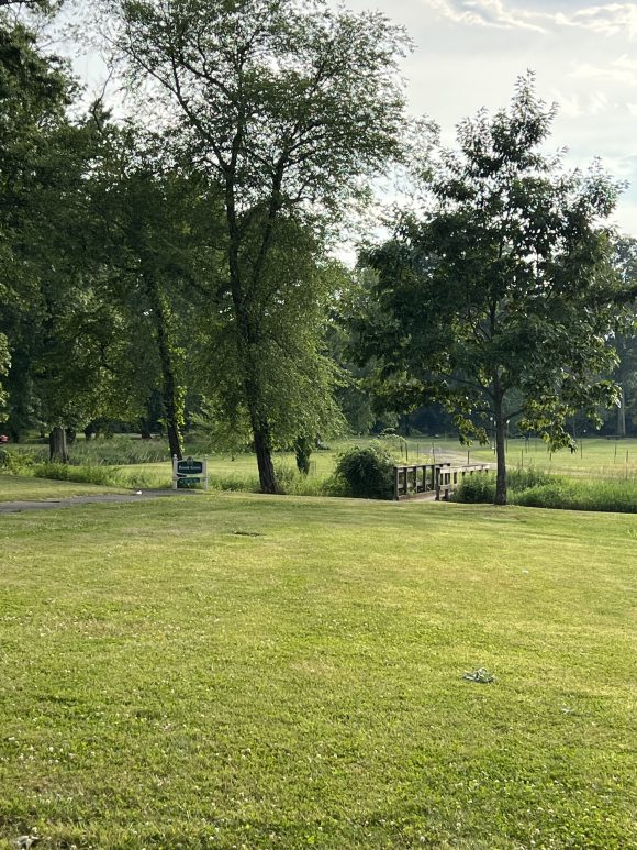 North Branch Park in Bridgewater NJ - Extras - walking path with wooden bridge