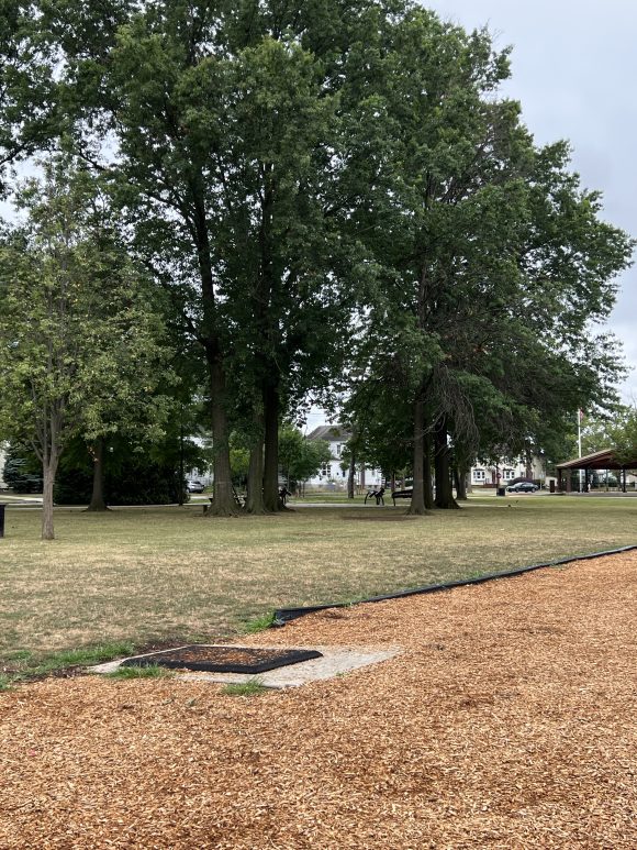 Open grassy area with trees at Carteret Park in Carteret NJ