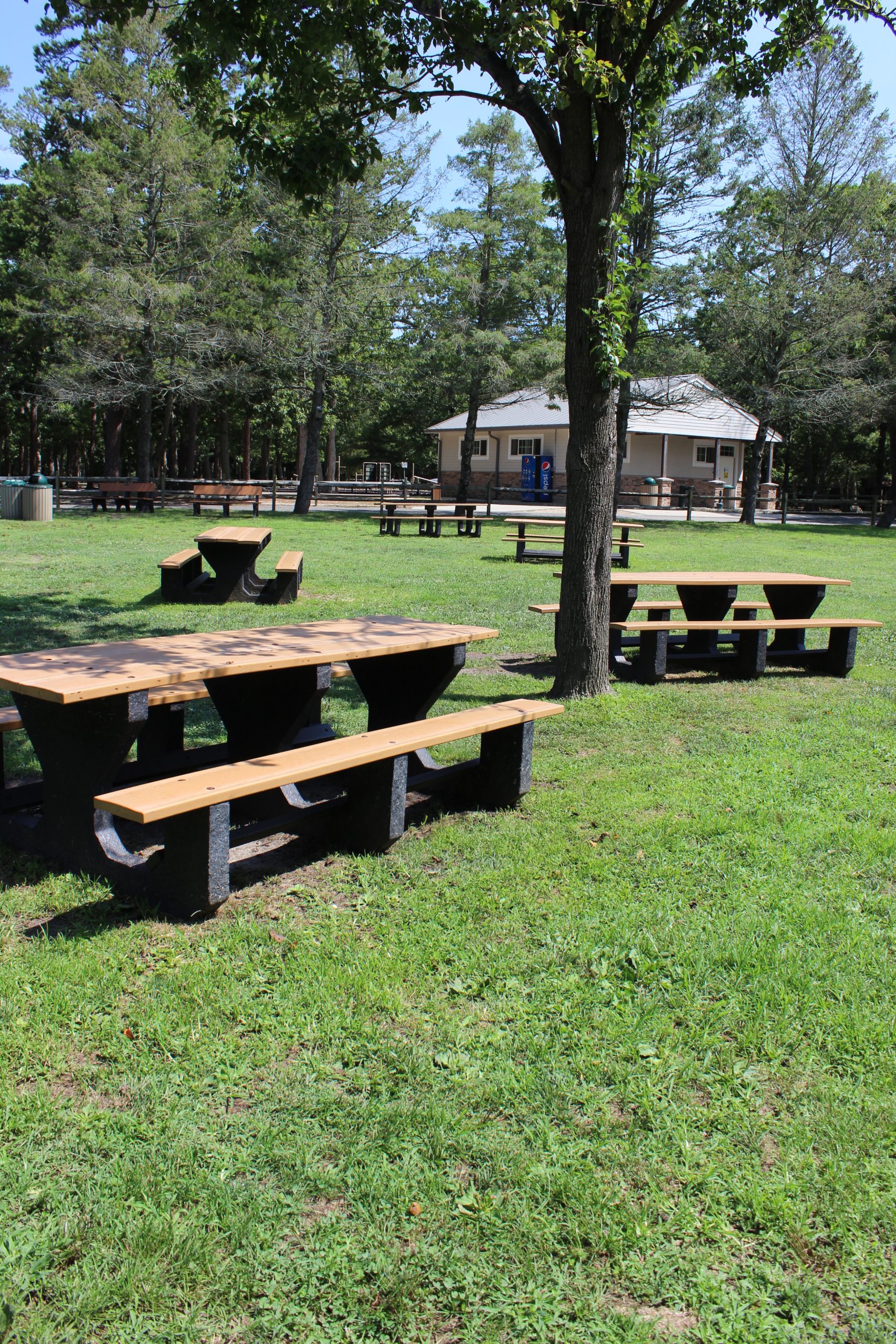 Picnic tables under trees at Cape May County Park in Cape May Court House NJ