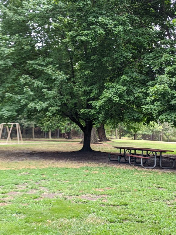 Red Bank Battlefield Park in National Park NJ - SHADY picnic bench